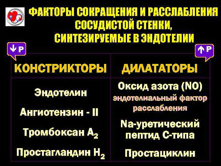  Р ФАКТОРЫ СОКРАЩЕНИЯ И РАССЛАБЛЕНИЯ СОСУДИСТОЙ СТЕНКИ, СИНТЕЗИРУЕМЫЕ В ЭНДОТЕЛИИ Р КОНСТРИКТОРЫ Эндотелин