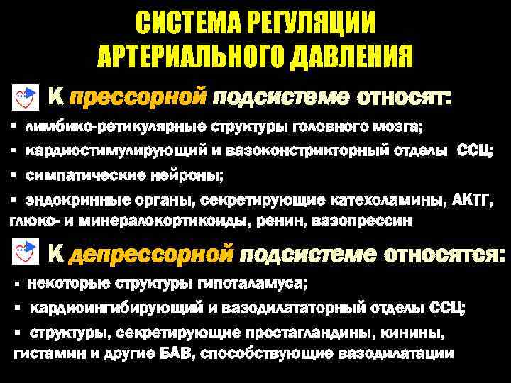 СИСТЕМА РЕГУЛЯЦИИ АРТЕРИАЛЬНОГО ДАВЛЕНИЯ К прессорной подсистеме относят: § лимбико-ретикулярные структуры головного мозга; §