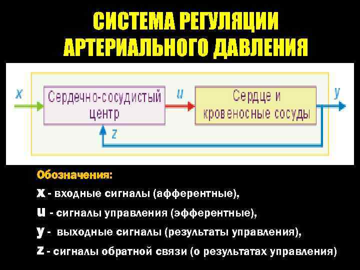 СИСТЕМА РЕГУЛЯЦИИ АРТЕРИАЛЬНОГО ДАВЛЕНИЯ Обозначения: x - входные сигналы (афферентные), u - сигналы управления