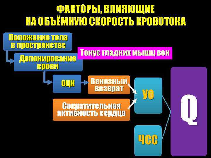 ФАКТОРЫ, ВЛИЯЮЩИЕ НА ОБЪЁМНУЮ СКОРОСТЬ КРОВОТОКА Положение тела в пространстве Депонирование крови ОЦК Тонус