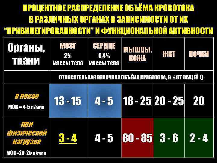 ПРОЦЕНТНОЕ РАСПРЕДЕЛЕНИЕ ОБЪЁМА КРОВОТОКА В РАЗЛИЧНЫХ ОРГАНАХ В ЗАВИСИМОСТИ ОТ ИХ “ПРИВИЛЕГИРОВАННОСТИ” И ФУНКЦИОНАЛЬНОЙ