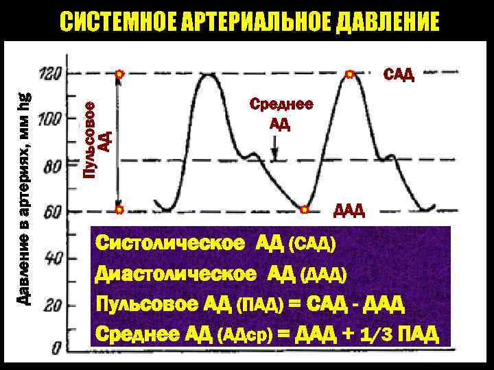 Систолическое давление при нормальном диастолическом давлении. Системно артериальное давление. Системное артериальное давление. Среднее давление это физиология. Систолическое и диастолическое давление физиология.