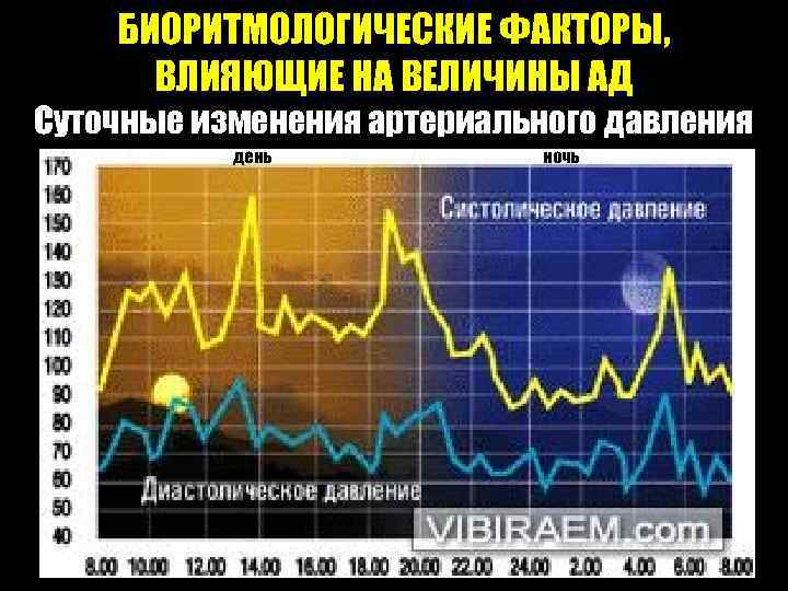 БИОРИТМОЛОГИЧЕСКИЕ ФАКТОРЫ, ВЛИЯЮЩИЕ НА ВЕЛИЧИНЫ АД Суточные изменения артериального давления день ночь 