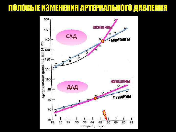 ПОЛОВЫЕ ИЗМЕНЕНИЯ АРТЕРИАЛЬНОГО ДАВЛЕНИЯ женщины САД ДАД мужчины женщины мужчины 