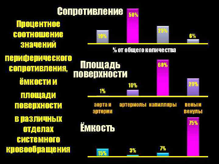 Сопротивление Процентное соотношение значений периферического сопротивления, ёмкости и % от общего количества Площадь поверхности