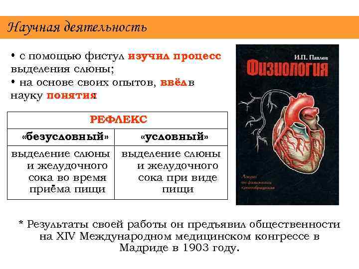 Научная деятельность • с помощью фистул изучил процесс выделения слюны; • на основе своих