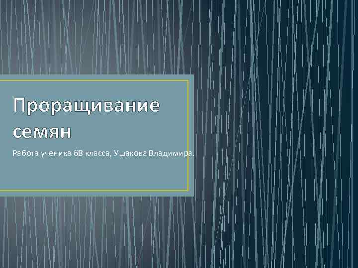 Проращивание семян Работа ученика 6 В класса, Ушакова Владимира. 