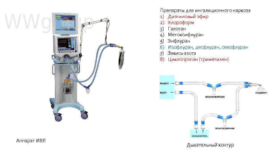 Препараты для ингаляционного наркоза 1) Диэтиловый эфир 2) Хлороформ 3) Галотан 4) Метоксифлуран 5)
