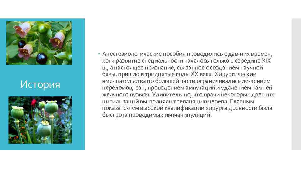 История Анестезиологические пособия проводились с дав них времен, хотя развитие специальности началось только в