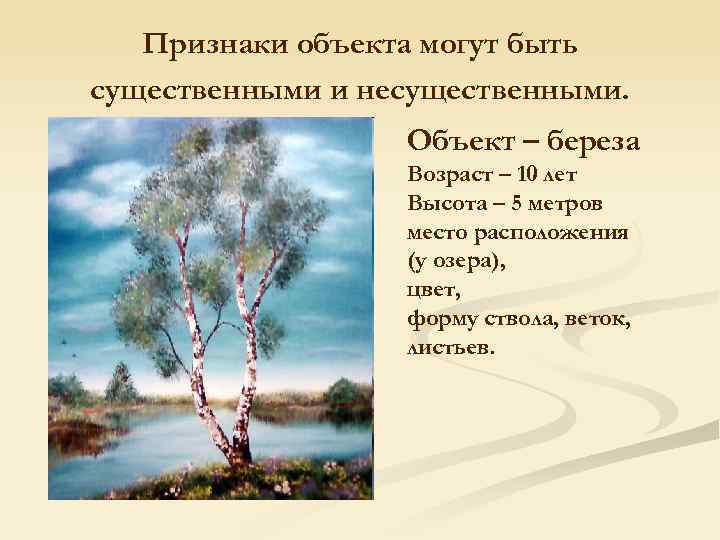 Признаки объекта могут быть существенными и несущественными. Объект – береза Возраст – 10 лет