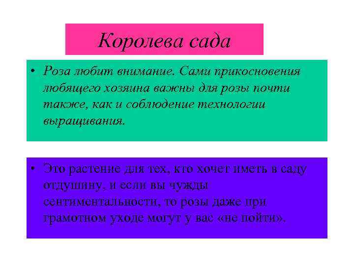 Королева сада • Роза любит внимание. Сами прикосновения любящего хозяина важны для розы почти