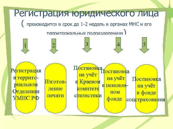 Регистрация юридического лица ( производится в срок до 1 -2 недель в органах МНС