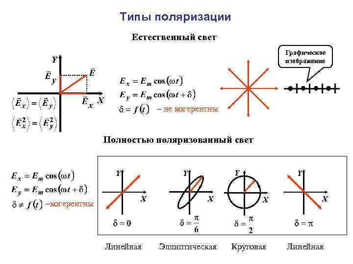 Что понимают под проекционной картиной поляризованного света