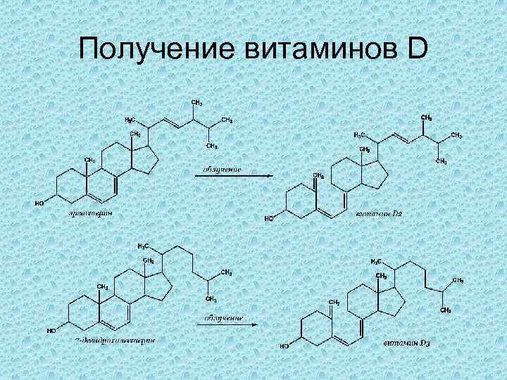 Биотехнология получения витаминов презентация