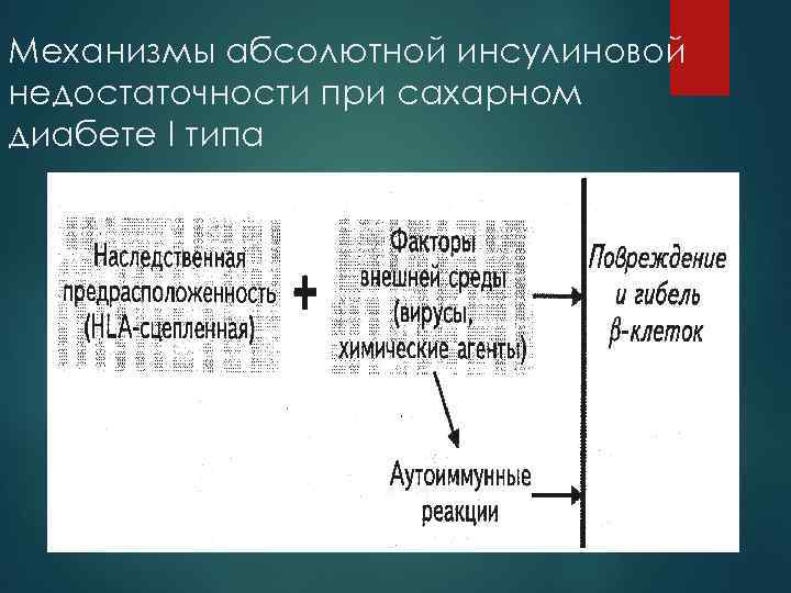 Механизмы абсолютной инсулиновой недостаточности при сахарном диабете I типа 