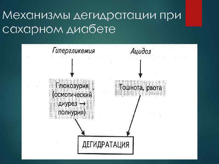 Механизмы дегидратации при сахарном диабете 