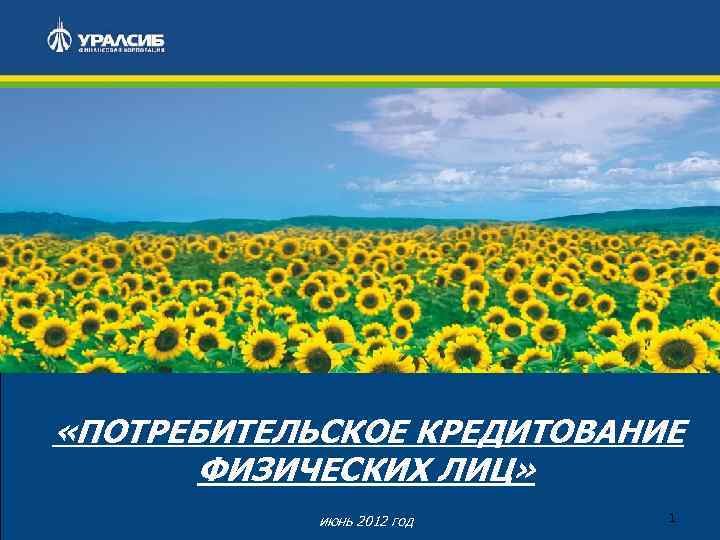  «ПОТРЕБИТЕЛЬСКОЕ КРЕДИТОВАНИЕ ФИЗИЧЕСКИХ ЛИЦ» июнь 2012 год 1 