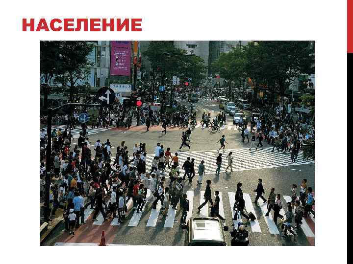 НАСЕЛЕНИЕ 
