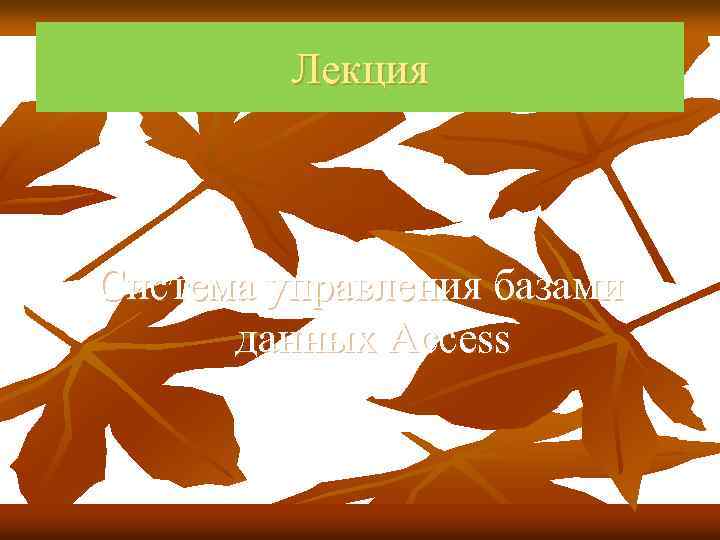 Лекция Система управления базами данных Access 