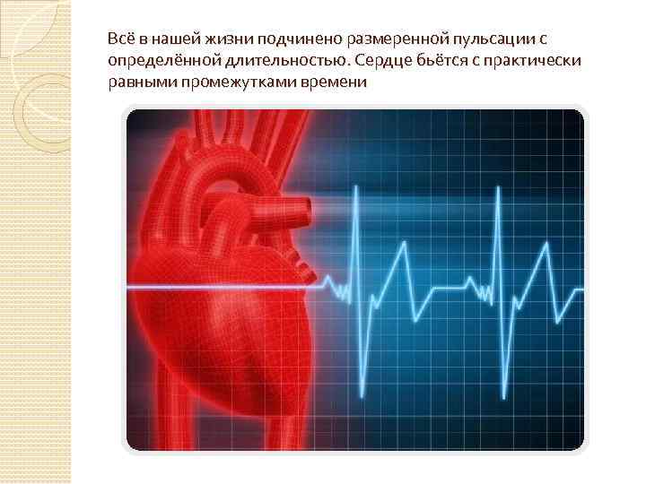 Всё в нашей жизни подчинено размеренной пульсации с определённой длительностью. Сердце бьётся с практически