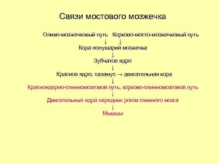 Связи мостового мозжечка Оливо-мозжечковый путь Корково-мосто-мозжечковый путь ↓ ↓ Кора полушарий мозжечка ↓ Зубчатое