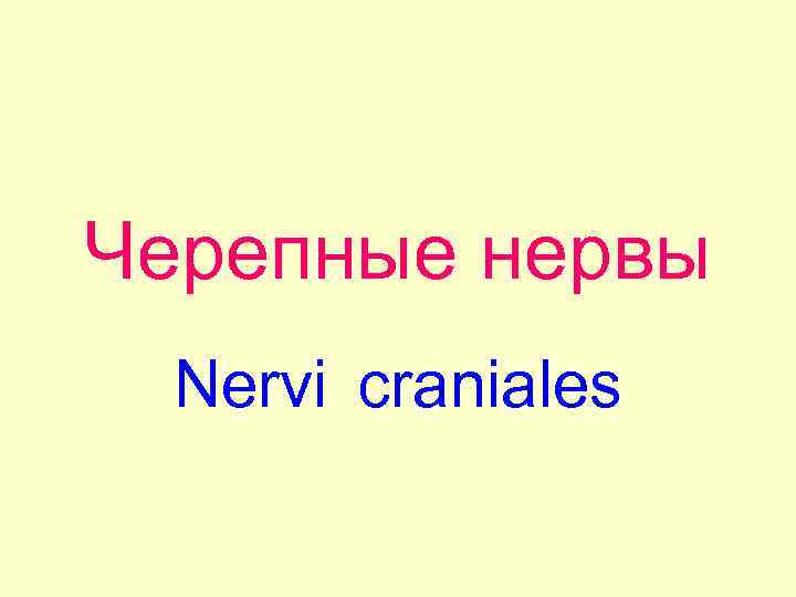 Черепные нервы Nervi craniales 