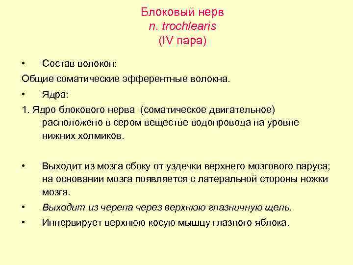 Блоковый нерв n. trochlearis (IV пара) • Состав волокон: Общие соматические эфферентные волокна. •