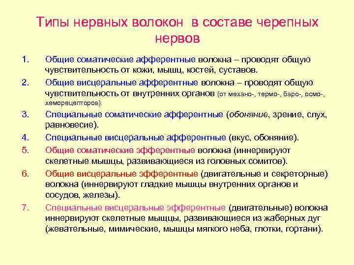 Типы нервных волокон в составе черепных нервов 1. 2. Общие соматические афферентные волокна –