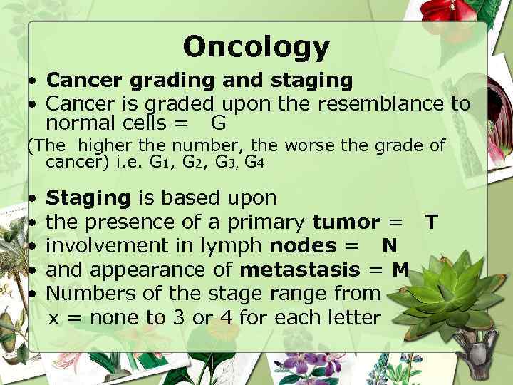 Oncology • Cancer grading and staging • Cancer is graded upon the resemblance to