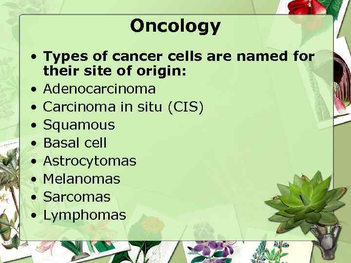 Oncology • Types of cancer cells are named for their site of origin: •