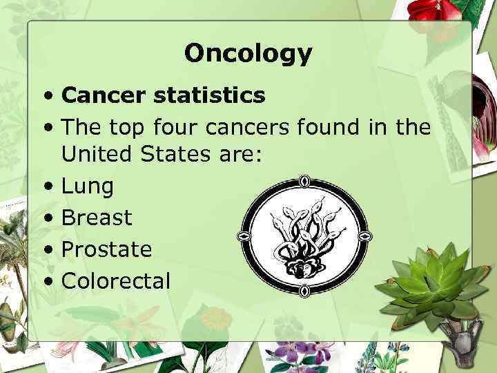 Oncology • Cancer statistics • The top four cancers found in the United States