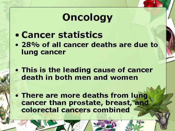 Oncology • Cancer statistics • 28% of all cancer deaths are due to lung