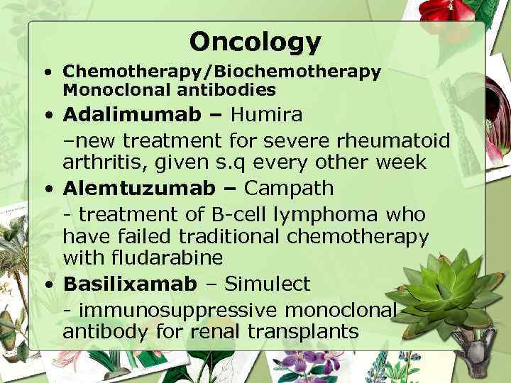 Oncology • Chemotherapy/Biochemotherapy Monoclonal antibodies • Adalimumab – Humira –new treatment for severe rheumatoid