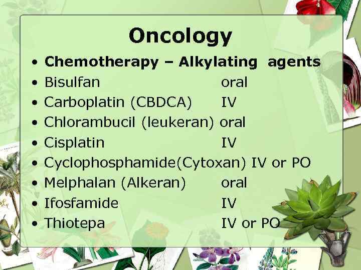 Oncology • • • Chemotherapy – Alkylating agents Bisulfan oral Carboplatin (CBDCA) IV Chlorambucil