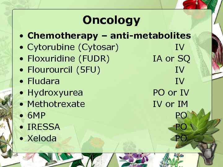 Oncology • • • Chemotherapy – anti-metabolites Cytorubine (Cytosar) IV Floxuridine (FUDR) IA or