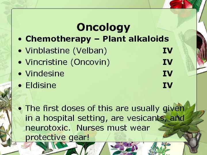 Oncology • • • Chemotherapy – Plant alkaloids Vinblastine (Velban) IV Vincristine (Oncovin) IV