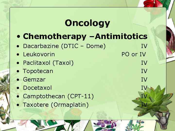 Oncology • Chemotherapy –Antimitotics • • Dacarbazine (DTIC – Dome) Leukovorin Paclitaxol (Taxol) Topotecan