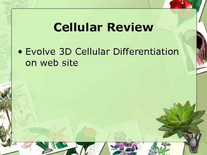 Cellular Review • Evolve 3 D Cellular Differentiation on web site 