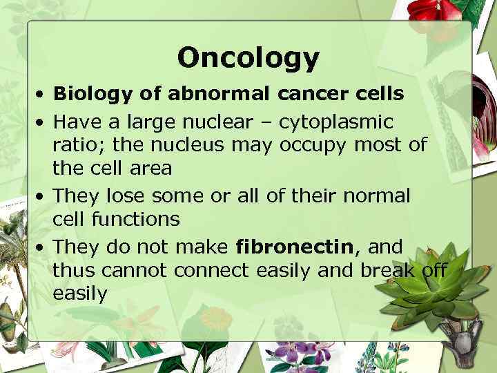 Oncology • Biology of abnormal cancer cells • Have a large nuclear – cytoplasmic
