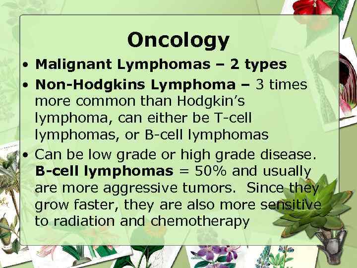 Oncology • Malignant Lymphomas – 2 types • Non-Hodgkins Lymphoma – 3 times more