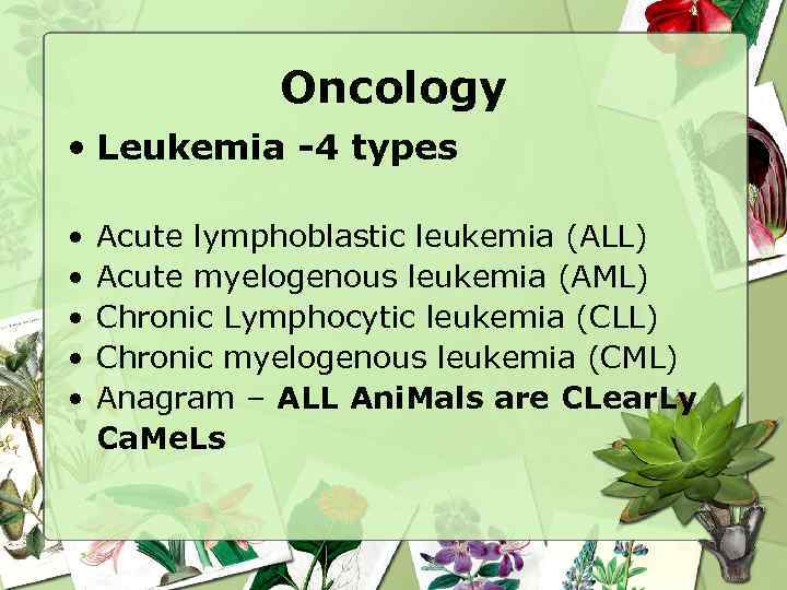 Oncology • Leukemia -4 types • • • Acute lymphoblastic leukemia (ALL) Acute myelogenous