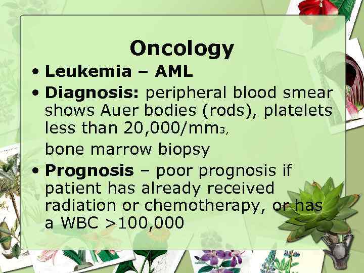 Oncology • Leukemia – AML • Diagnosis: peripheral blood smear shows Auer bodies (rods),