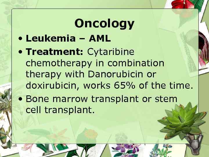 Oncology • Leukemia – AML • Treatment: Cytaribine chemotherapy in combination therapy with Danorubicin
