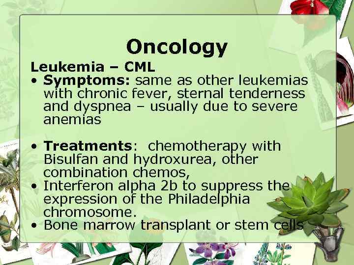 Oncology Leukemia – CML • Symptoms: same as other leukemias with chronic fever, sternal