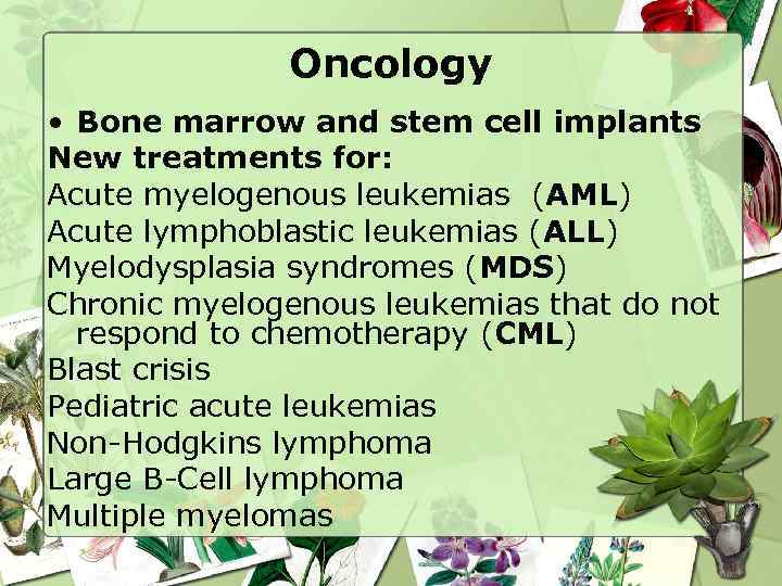 Oncology • Bone marrow and stem cell implants New treatments for: Acute myelogenous leukemias