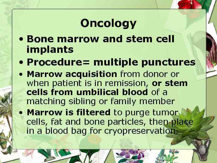 Oncology • Bone marrow and stem cell implants • Procedure= multiple punctures • Marrow