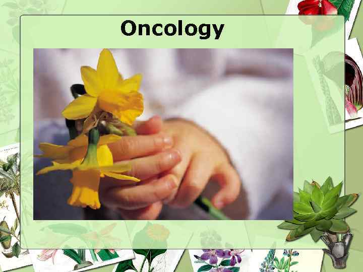 Oncology 