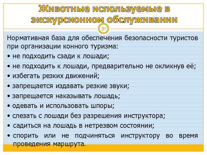 Животные используемые в экскурсионном обслуживании 37 Нормативная база для обеспечения безопасности туристов при организации