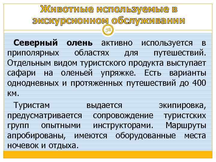 Животные используемые в экскурсионном обслуживании 38 Северный олень активно используется в приполярных областях для