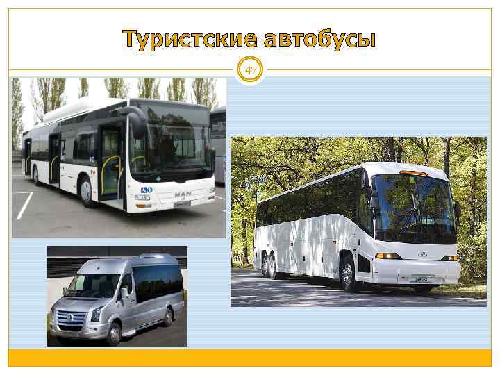 Туристские автобусы 47 